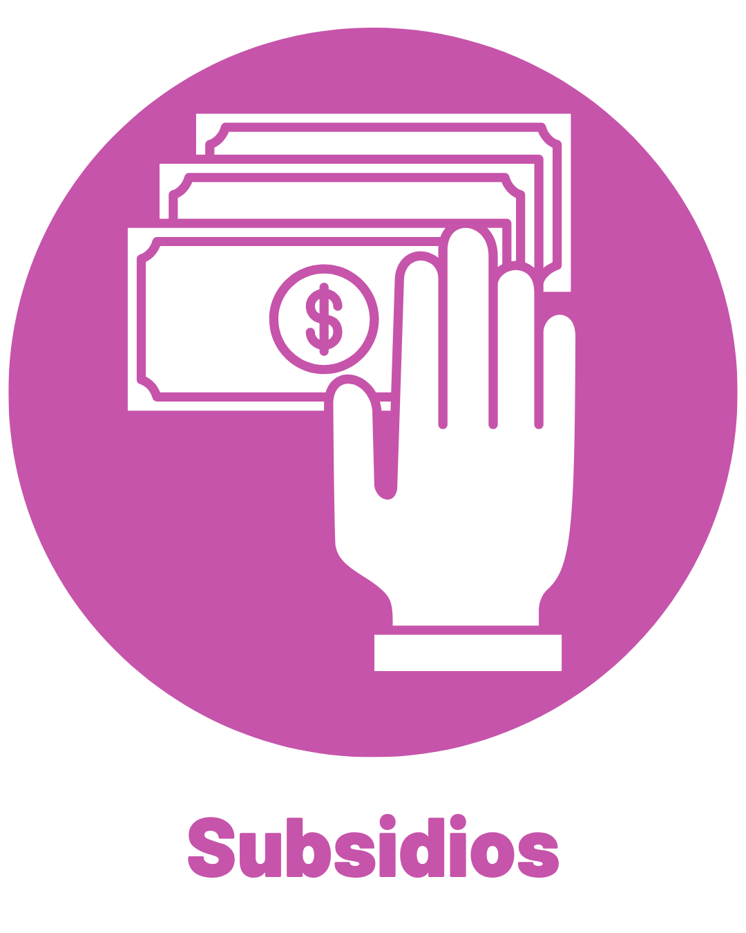 SUBSIDIOS